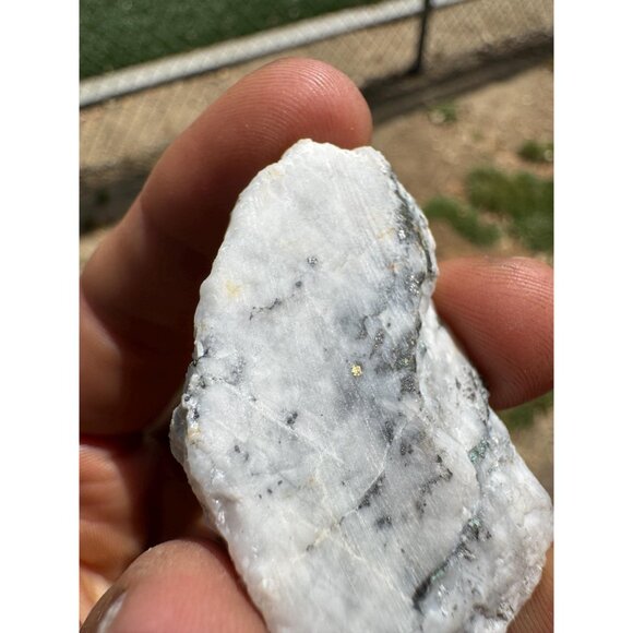 Gold in Quartz - 16 to 1 Mine - Alleghany, California Specimen - 19.5 grams - Picture 4 of 9